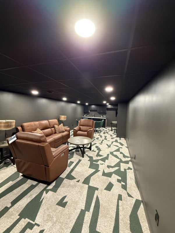 Basement Family Room